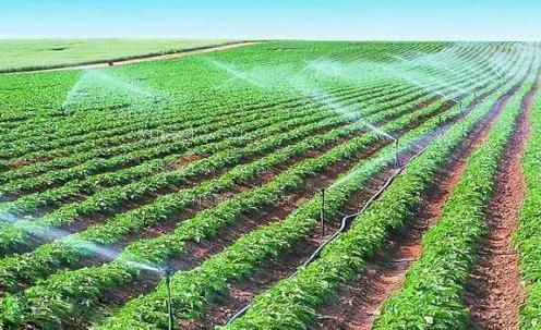 狠插逼农田高 效节水灌溉